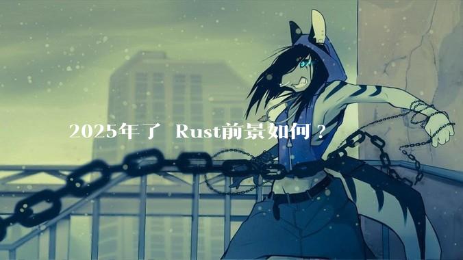 2025年了 Rust前景如何?