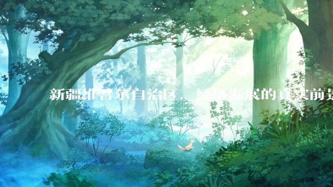 新疆维吾尔自治区，经济发展的真实前景如何？