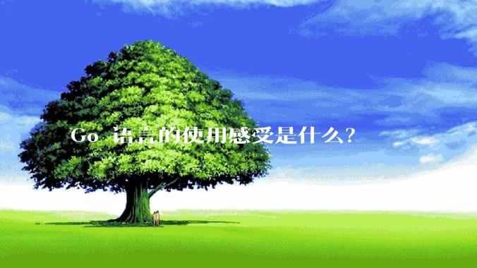 Go 语言的使用感受是什么？