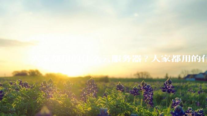 大家都用的什么云服务器?大家都用的什么云服务器？
