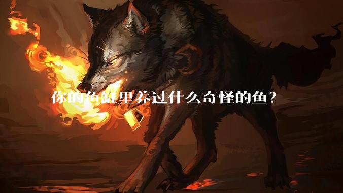你的鱼缸里养过什么奇怪的鱼？